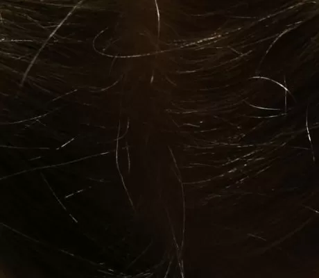 Best Books for Temper Tantrums